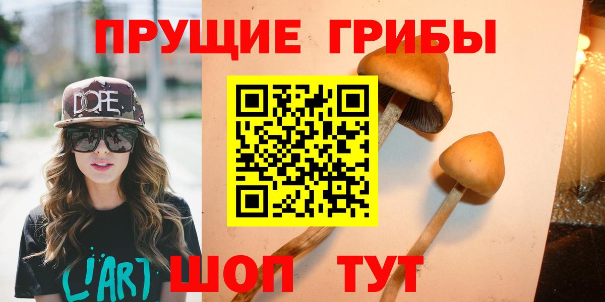 Псилоцибиновые грибы MAGIC MUSHROOMS Новоалтайск