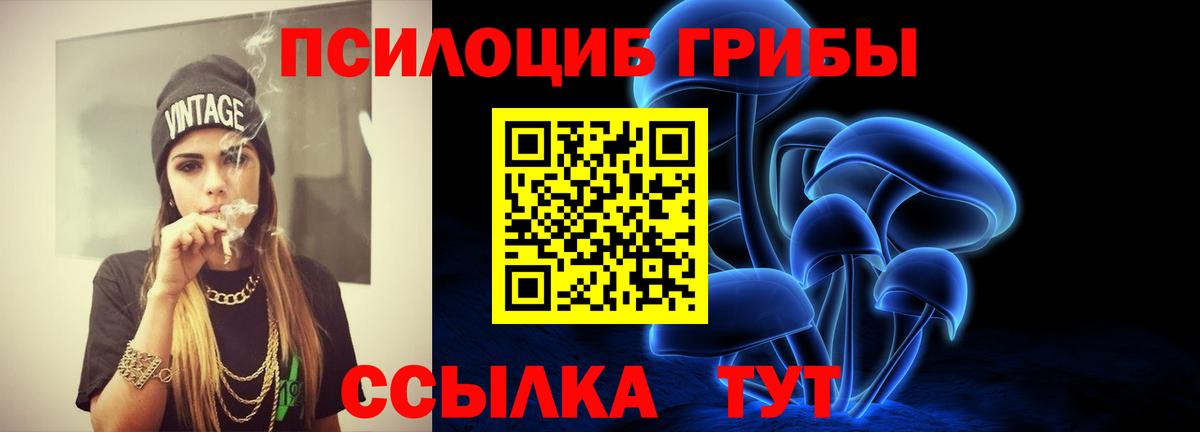 Псилоцибиновые грибы GOLDEN TEACHER  Вход с VPN  Новоалтайск 